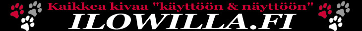 www.ilowilla.fi