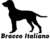 Kuvaus: C:\Users\Satu-Ilona\Documents\Ilowilla 2011\profiilipaidat\koirat_ac\bracco_italiano.jpg